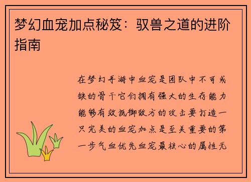 梦幻血宠加点秘笈：驭兽之道的进阶指南